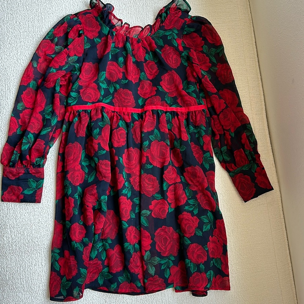 Janie and Jack roses dress